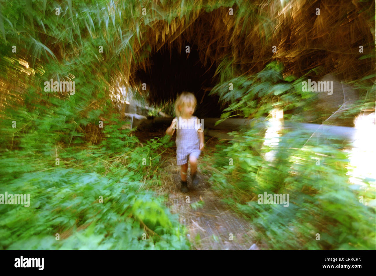 Un bambino corre attraverso una foresta da soli Foto Stock