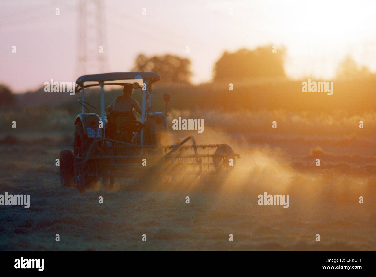 Un trattore che lavorano nel campo sotto la luce diretta del sole Foto Stock