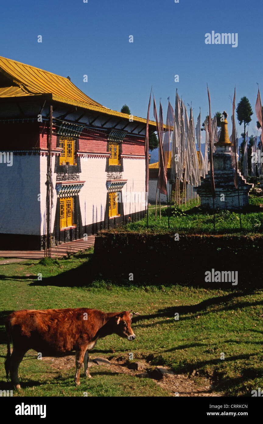 India; Il Sikkim; Ortografia, Sangachoeling Gompa, monastero buddista, Foto Stock