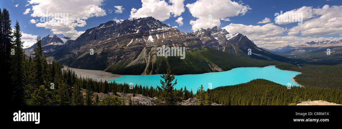 Glacially fed Peyto Lake nel Parco Nazionale di Banff, Canada Foto Stock