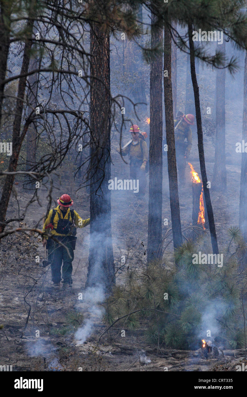 Stati Uniti Forest Service fire membri di equipaggio la lotta contro un incendio in un bosco vicino a Bonner, Montana, USA. Foto Stock