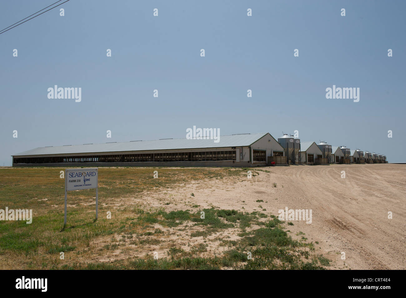 Seaboard allevamenti suini fienili in crescita nei pressi di Guymon, Oklahoma. Queste aziende sono collocati vicino alle principali colture operations Foto Stock
