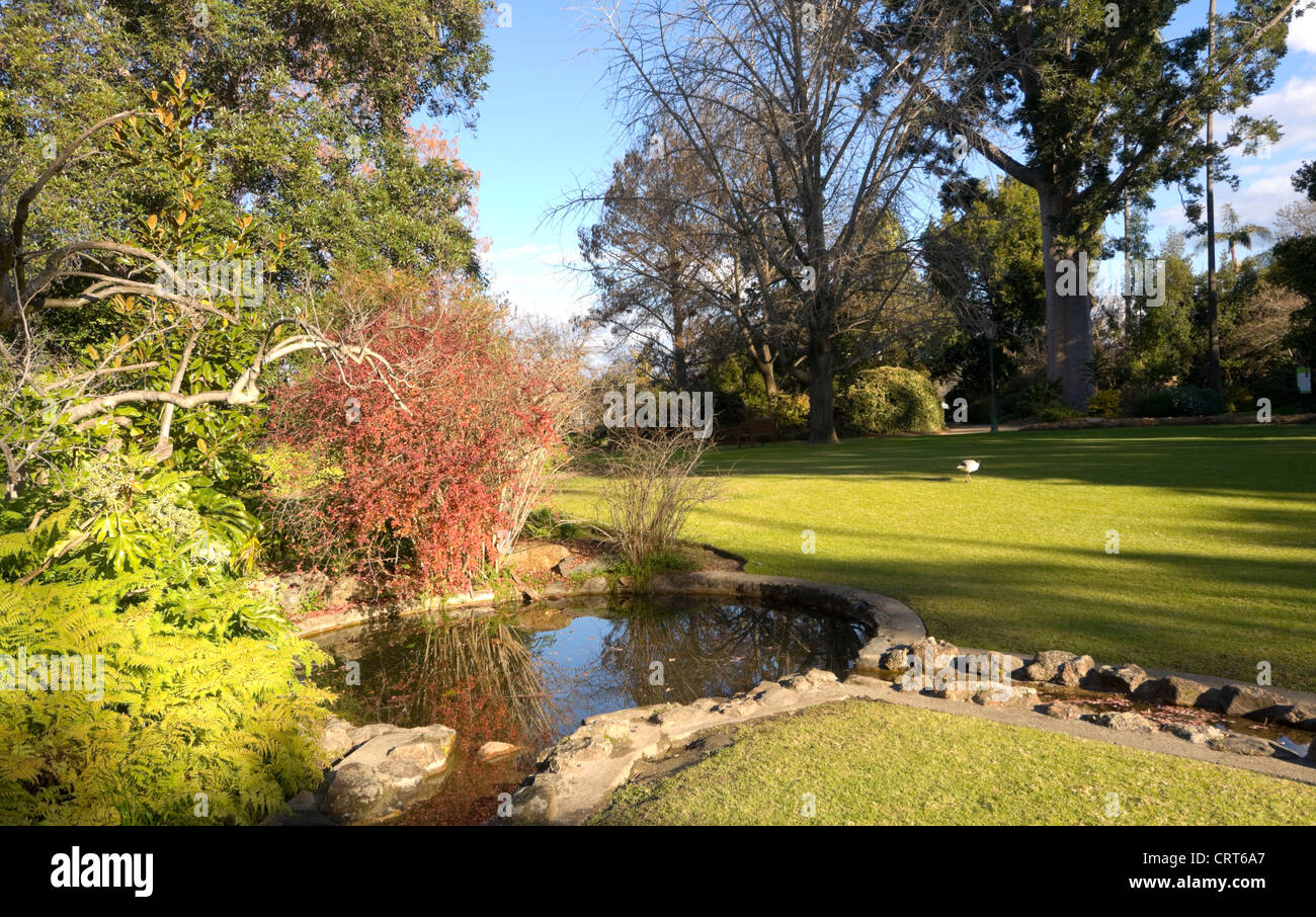 Giardino Botanico, Albury, Nuovo Galles del Sud, Australia Foto Stock