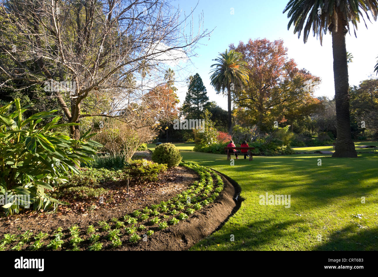 Giardino Botanico, Albury, Nuovo Galles del Sud, Australia Foto Stock