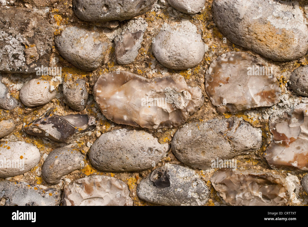 Muro di pietra focaia. Mostra knapped e tutta la pietra focaia pietre tenuti insieme con malta di calce. Norfolk. Foto Stock
