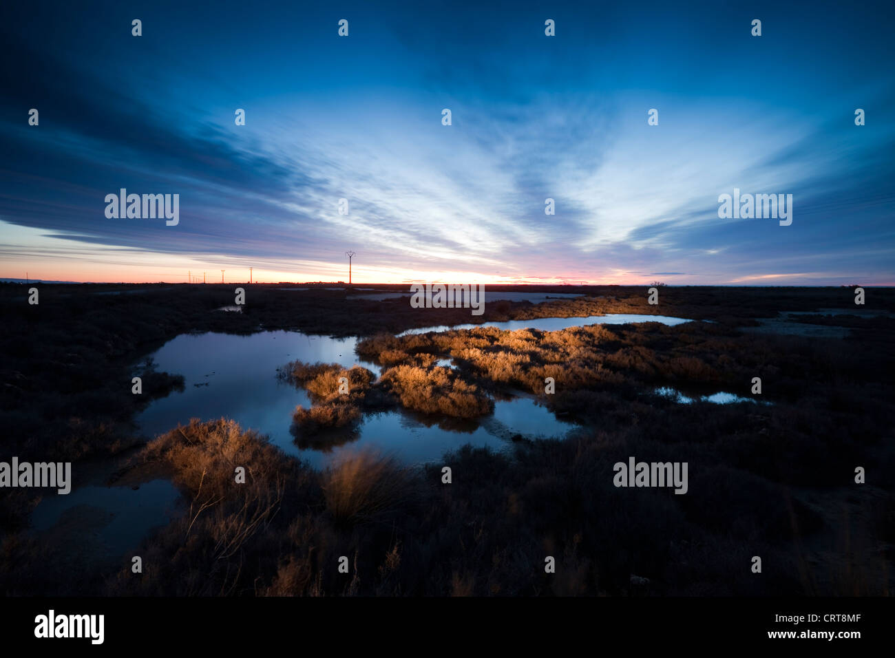 Sunrise a Delta del Ebro parco naturale Foto Stock