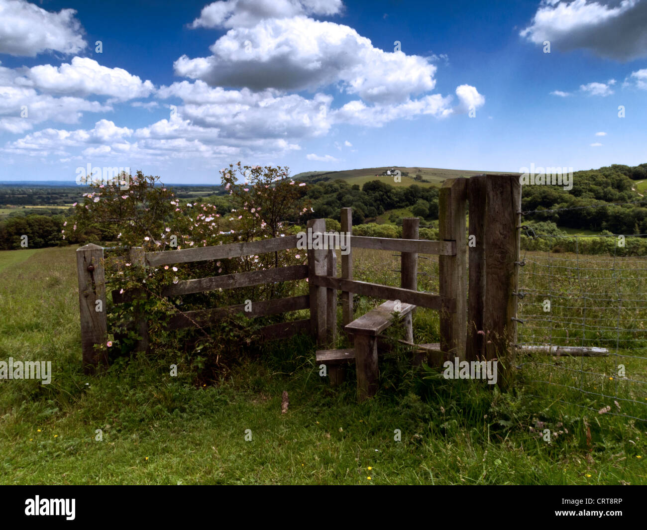 Vista dalla collina Wolstonbury, South Downs National Park, Sussex, verso Jack e Jill mulini a vento Foto Stock