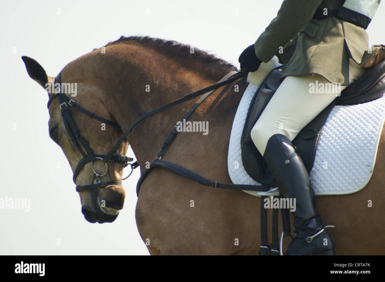 Cavallo e cavaliere durante la loro fase di dressage a Withington Evento di Una Giornata il 30 aprile 2011 Foto Stock