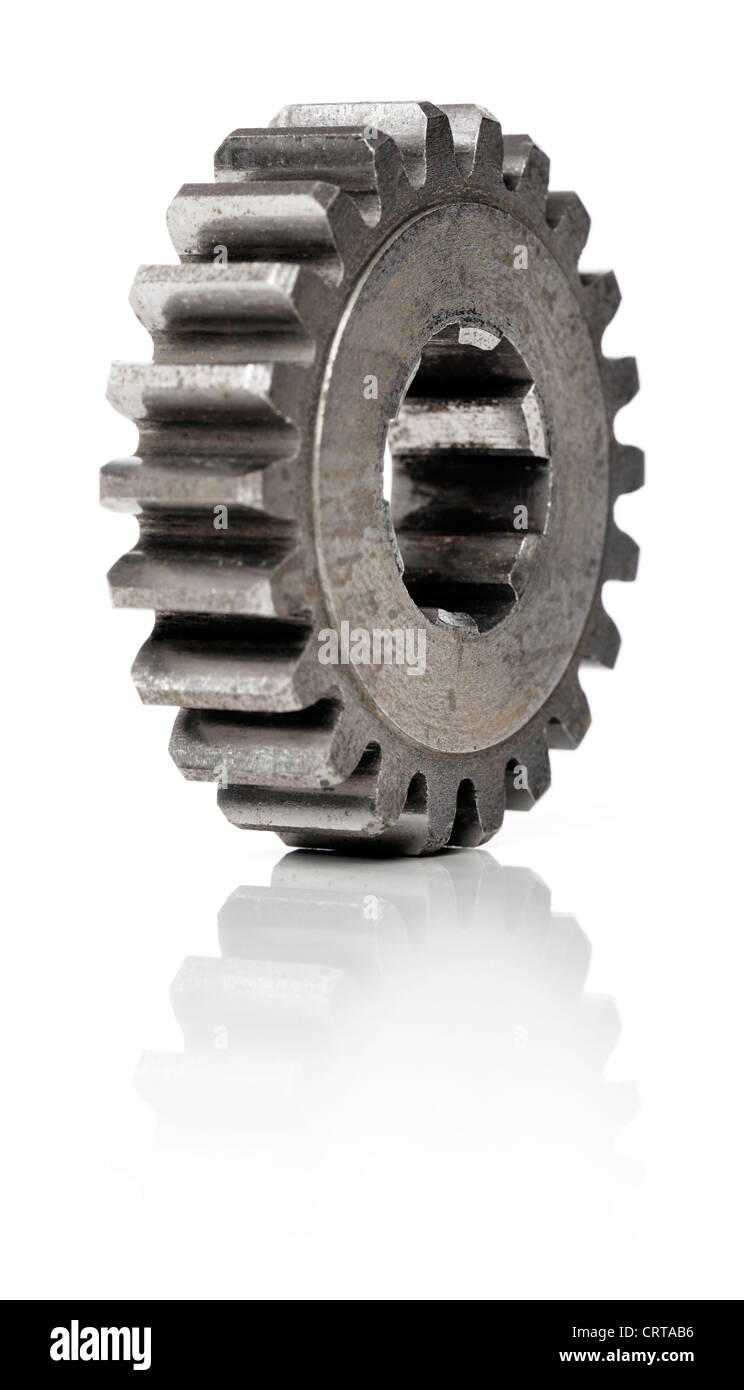 Vecchio cog metallico ruota dentata su bianco, con riflessione naturale. Breve di profondità di campo. Foto Stock