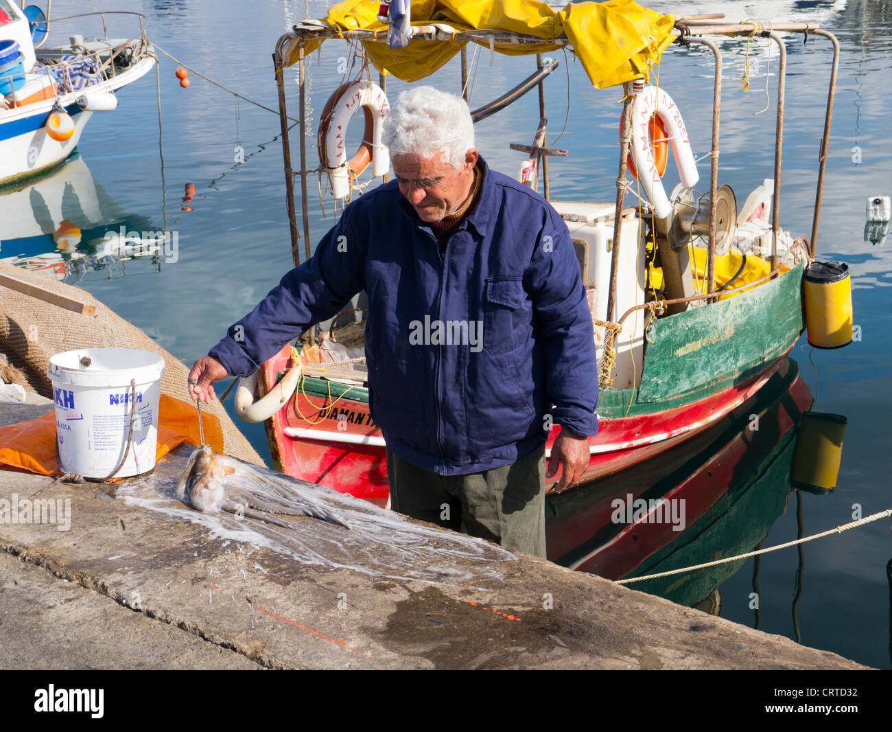 Pescatore greco lo sbarco delle catture di polpo alla banchina, Chania porto, Creta Foto Stock