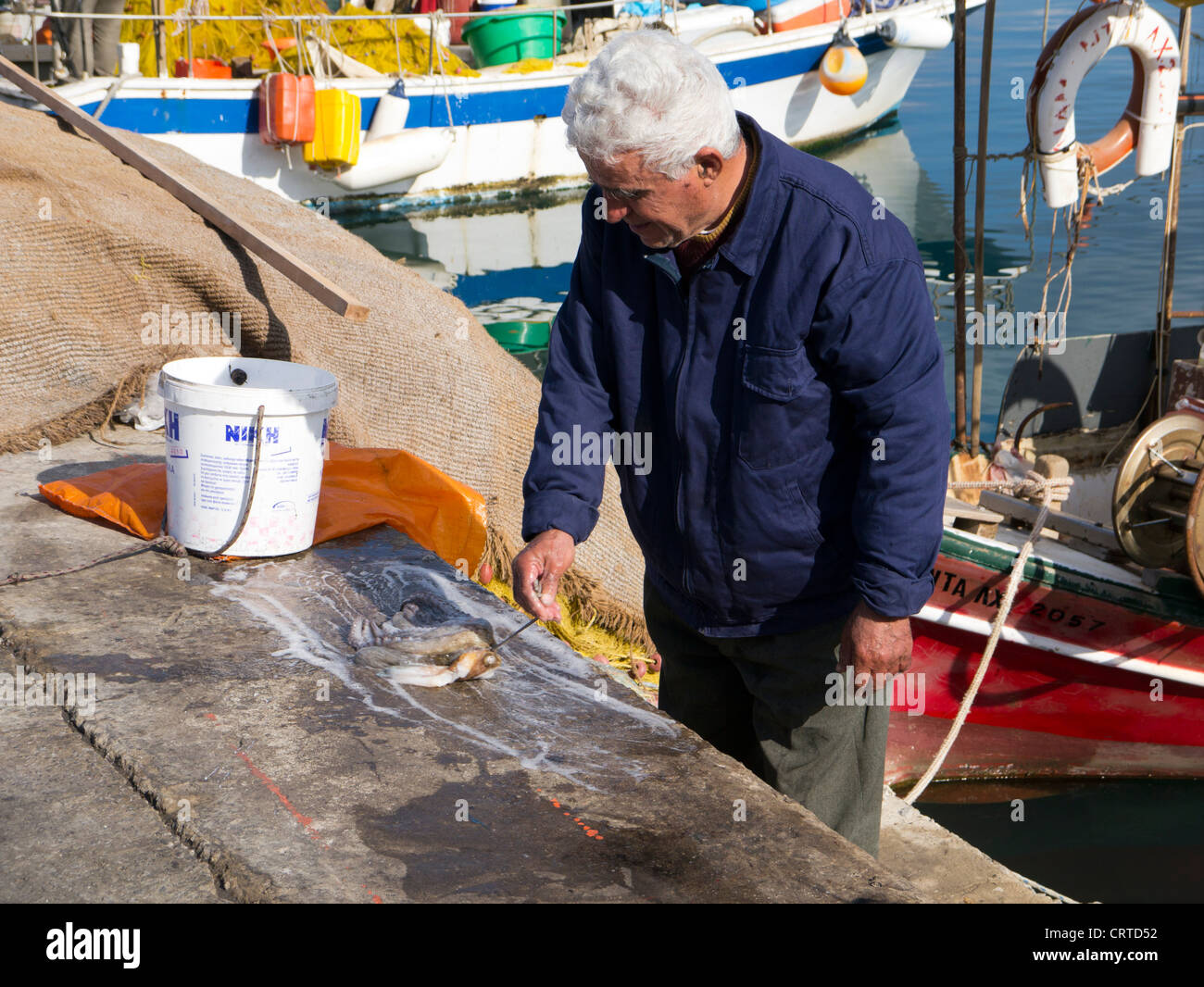 Pescatore greco intenerimento della cattura del polpo sulla banchina Foto Stock