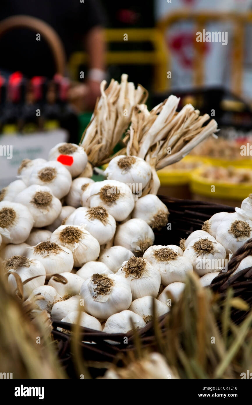 Bulbi di aglio in vendita presso Jean Talon Mercato, Montreal, Quebec Foto Stock