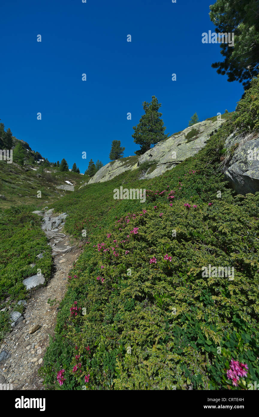 La pista di montagna ai laghi di Bellacomba, Valle d'Aosta, Italia Foto Stock