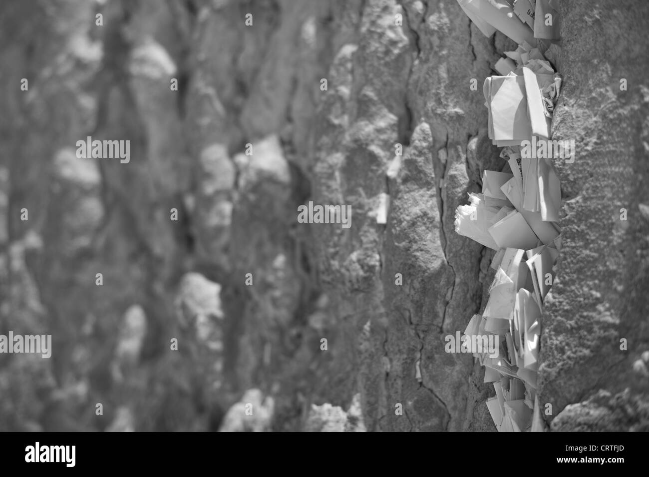 Il Muro del Pianto, la Città Vecchia di Gerusalemme, Israele Foto Stock