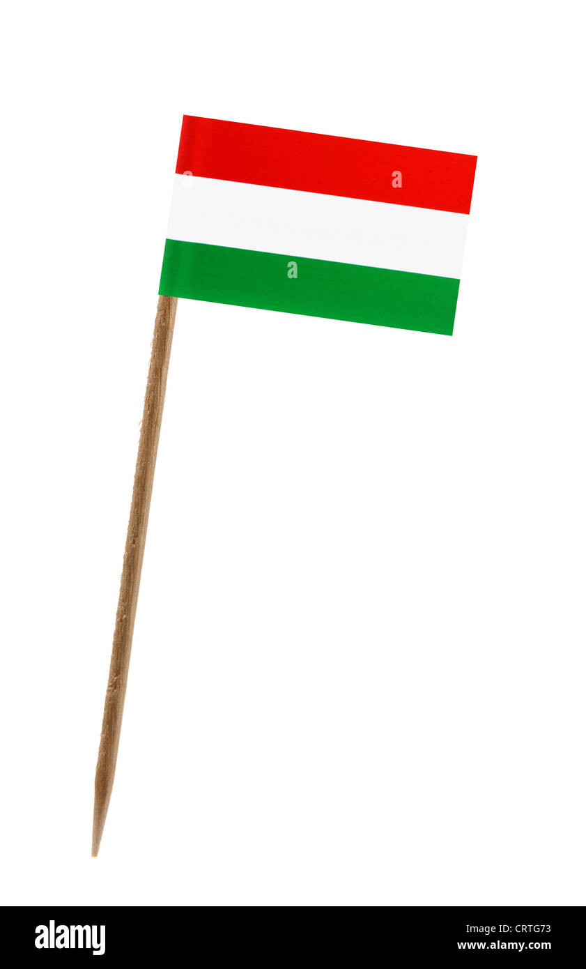 Dente pick wit una piccola bandiera di carta di Ungheria Foto Stock