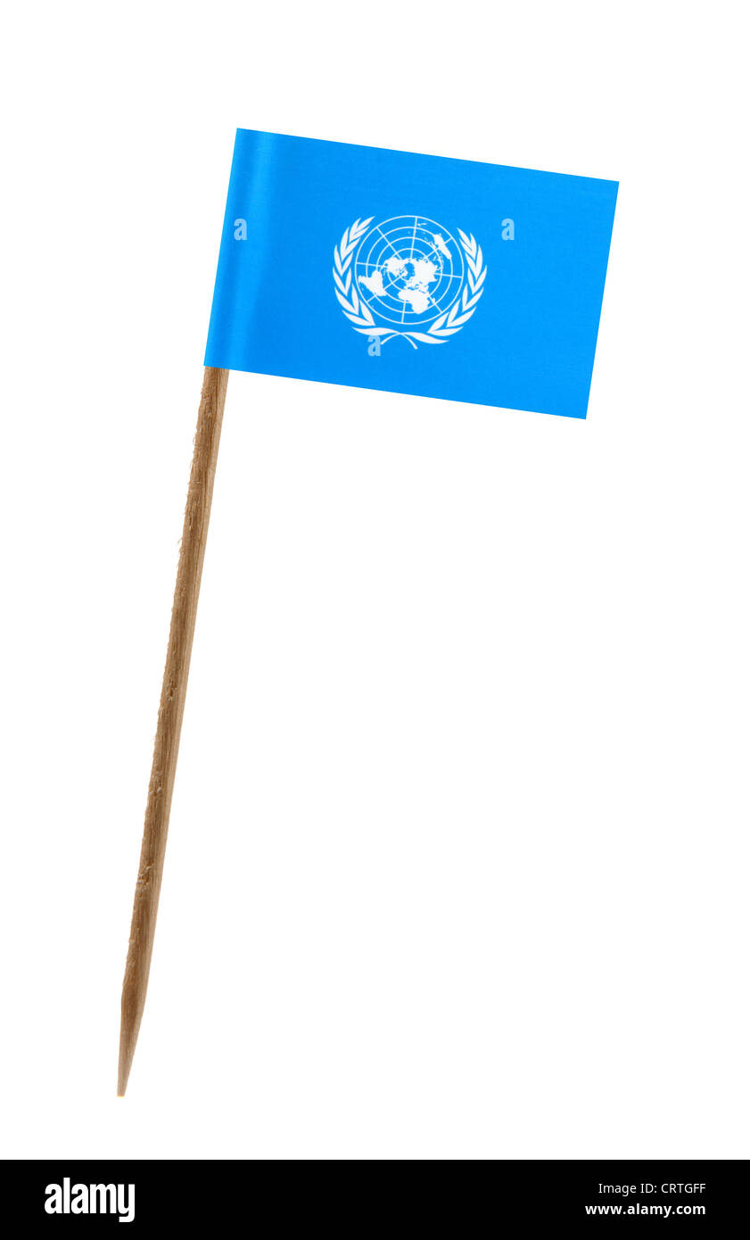 Dente pick wit una piccola bandiera della Carta delle Nazioni Unite Foto Stock