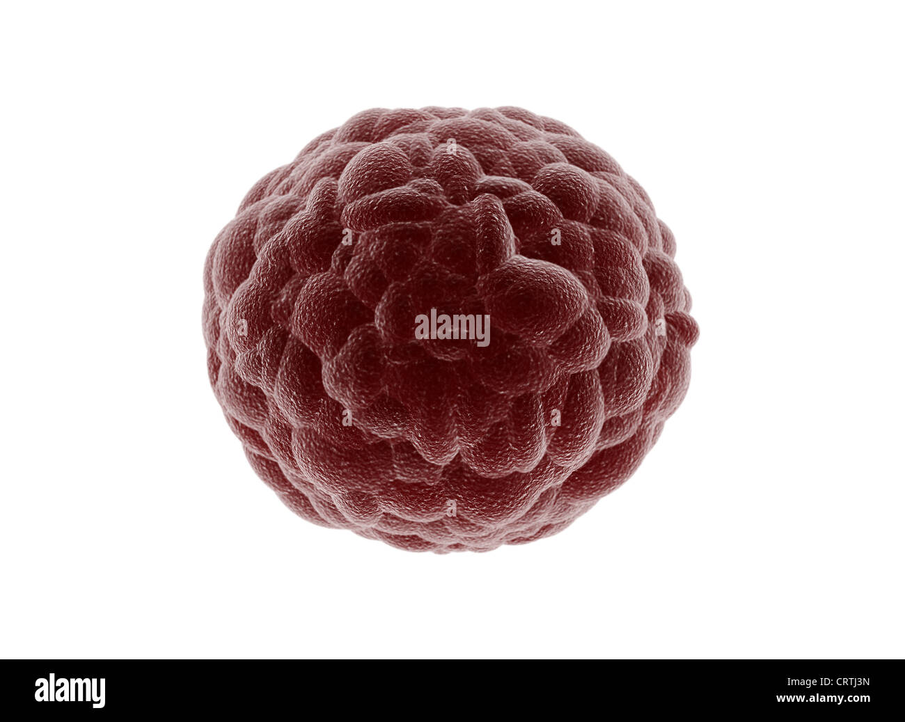 La cellula di cancro isolato su bianco Foto Stock