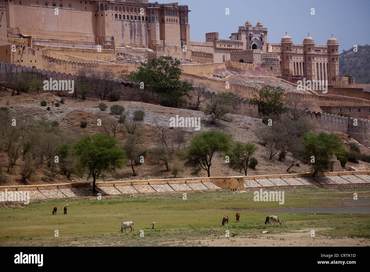 Agrfa Fort Jaipur, India Foto Stock