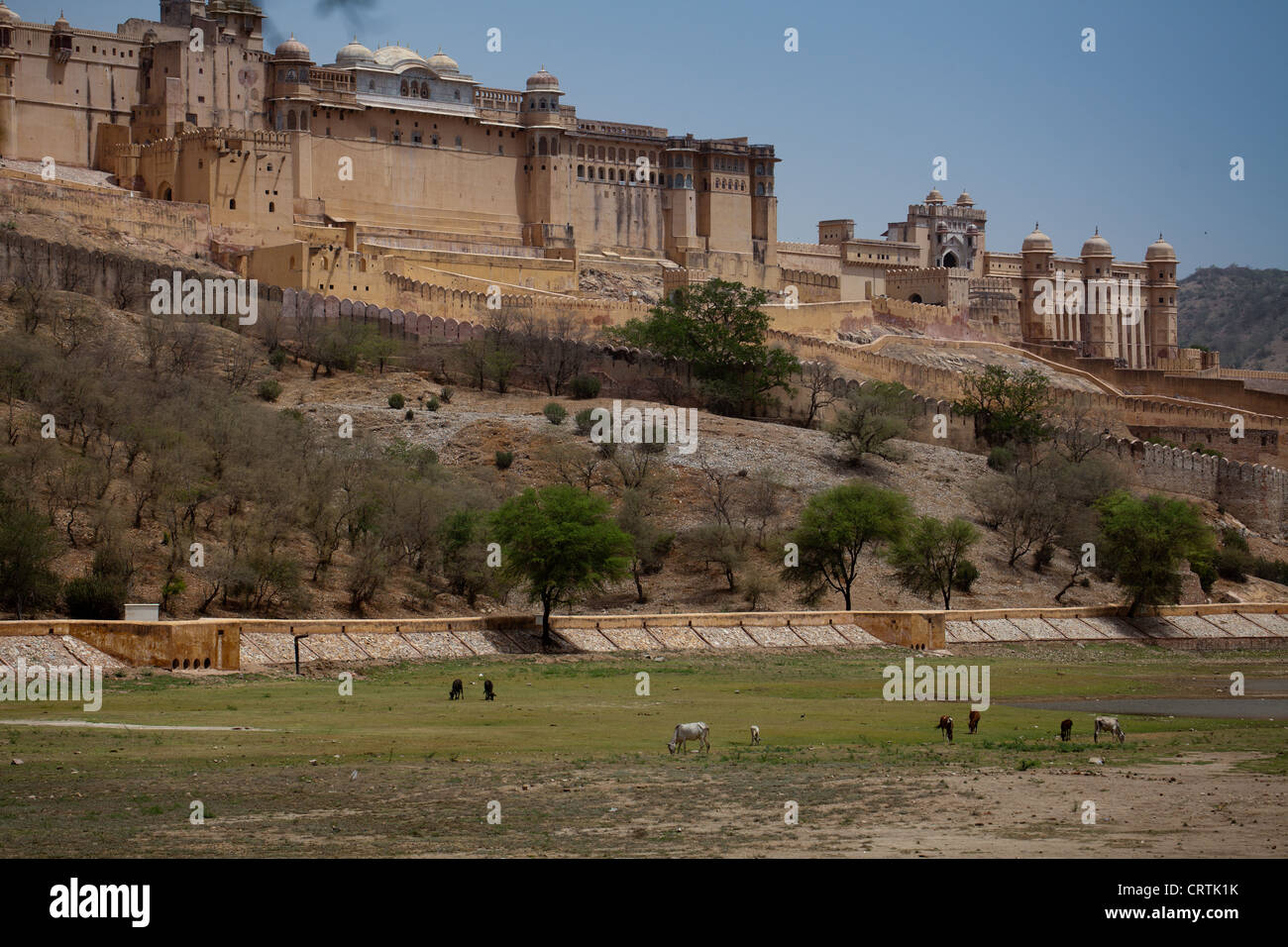 Agrfa Fort Jaipur, India Foto Stock