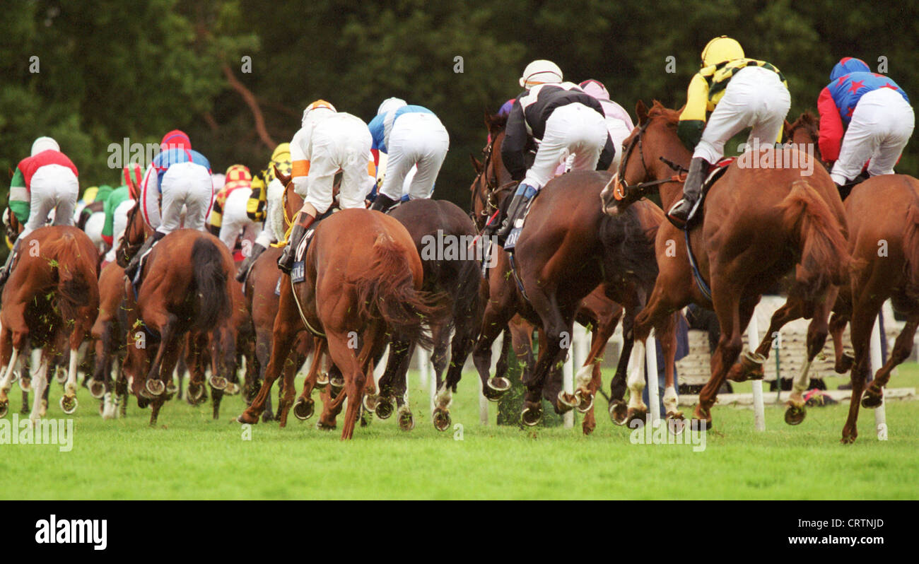 I cavalli in azione presso il Royal Ascot Racecourse da dietro Foto Stock