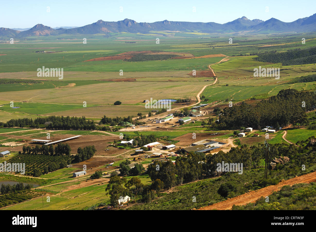 Altopiano Piketberg, Western Cape, Sud Africa Foto Stock