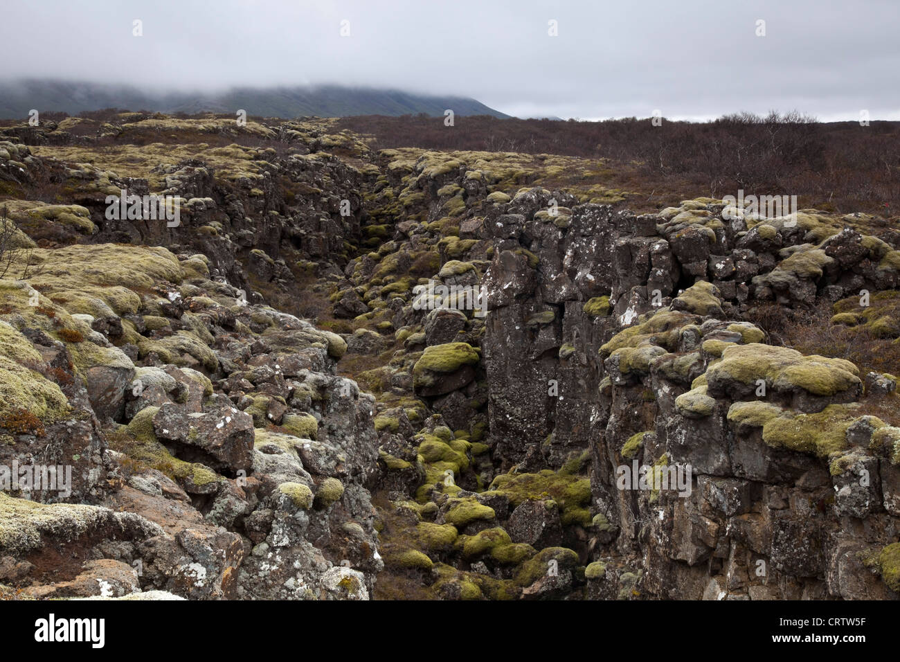 Ridge,Thingvellir, Islanda Foto Stock