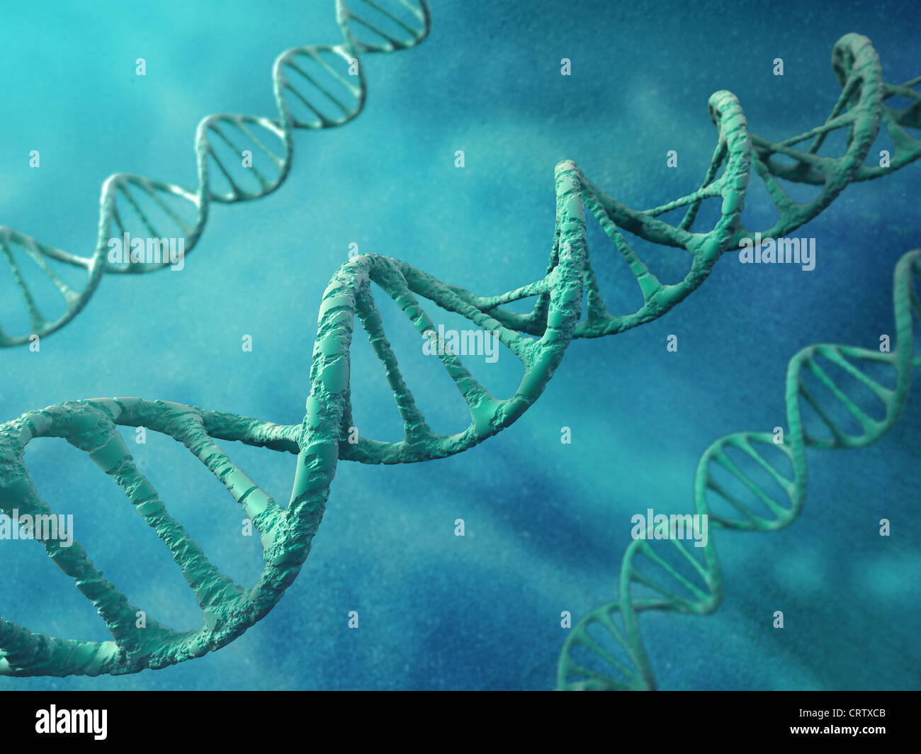 Filo del DNA Foto Stock