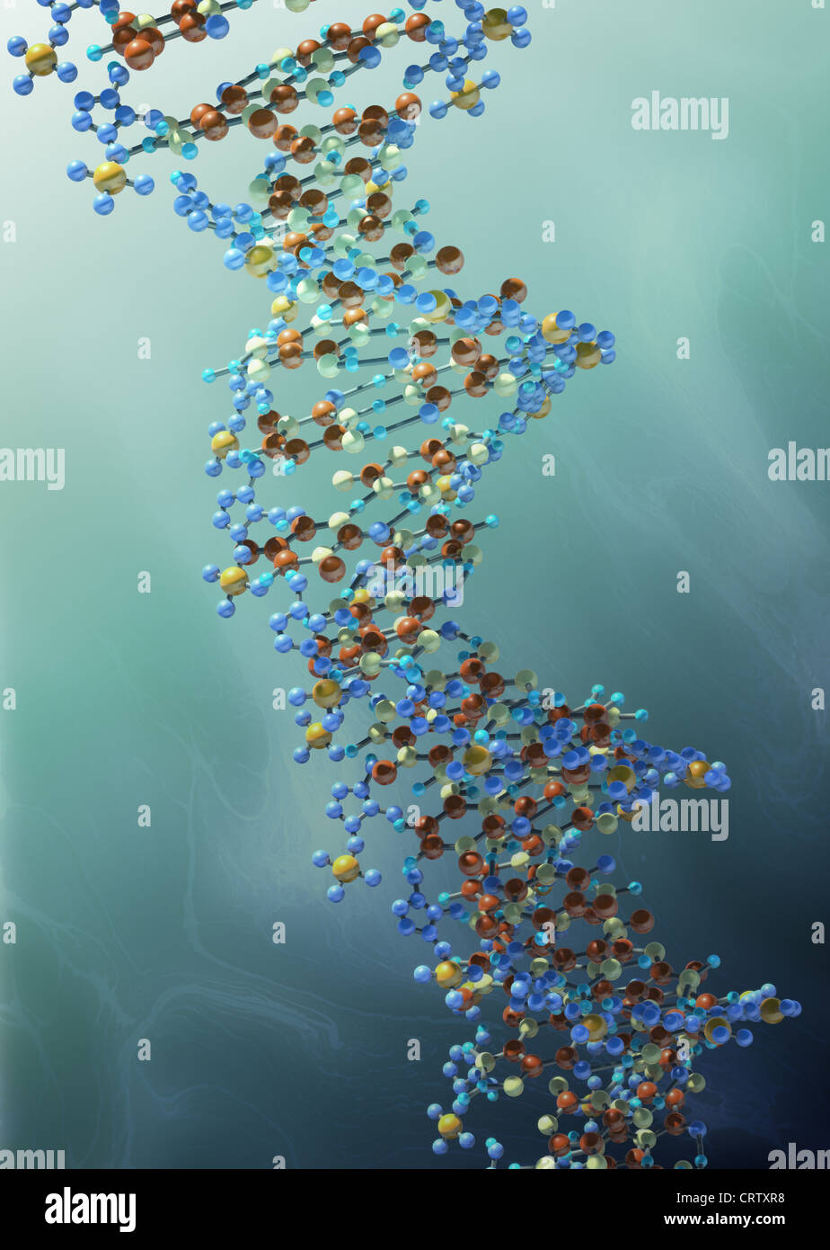 Filo del DNA Foto Stock