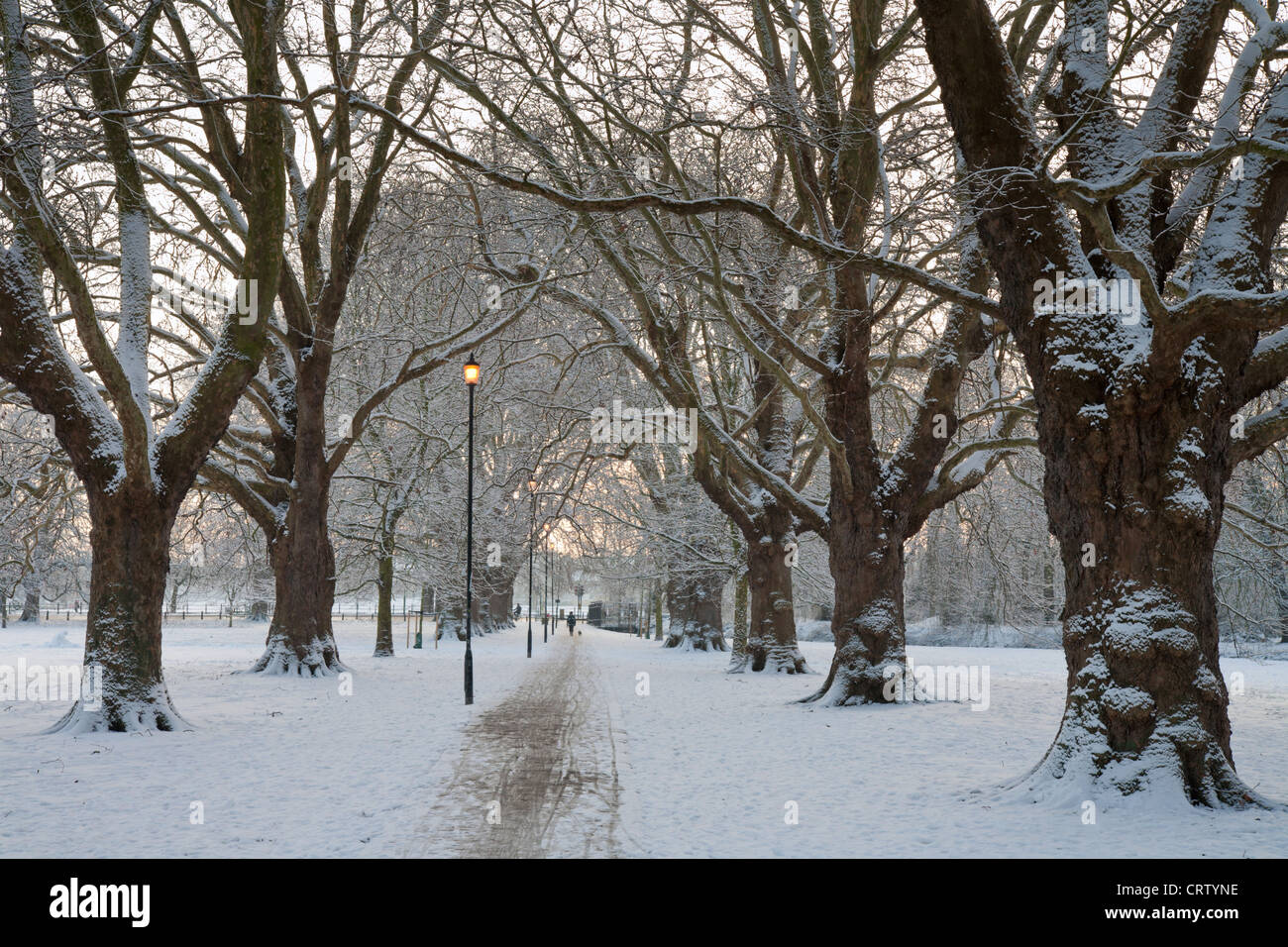 La mattina presto Midsummer Avenue Cambridge Regno Unito nella neve invernale Foto Stock