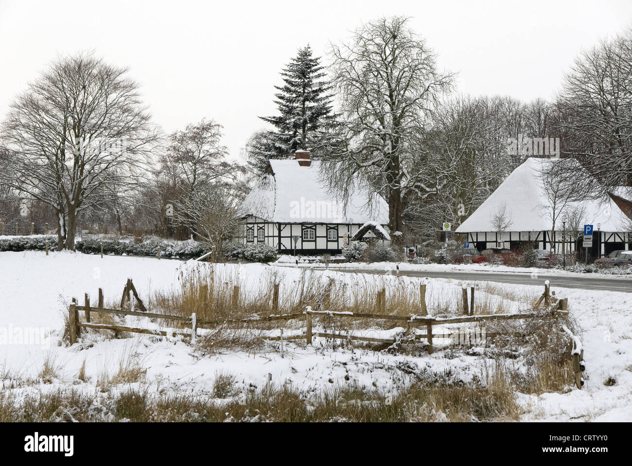 Paesaggio invernale presso il vicino Schlei Sieseby Foto Stock