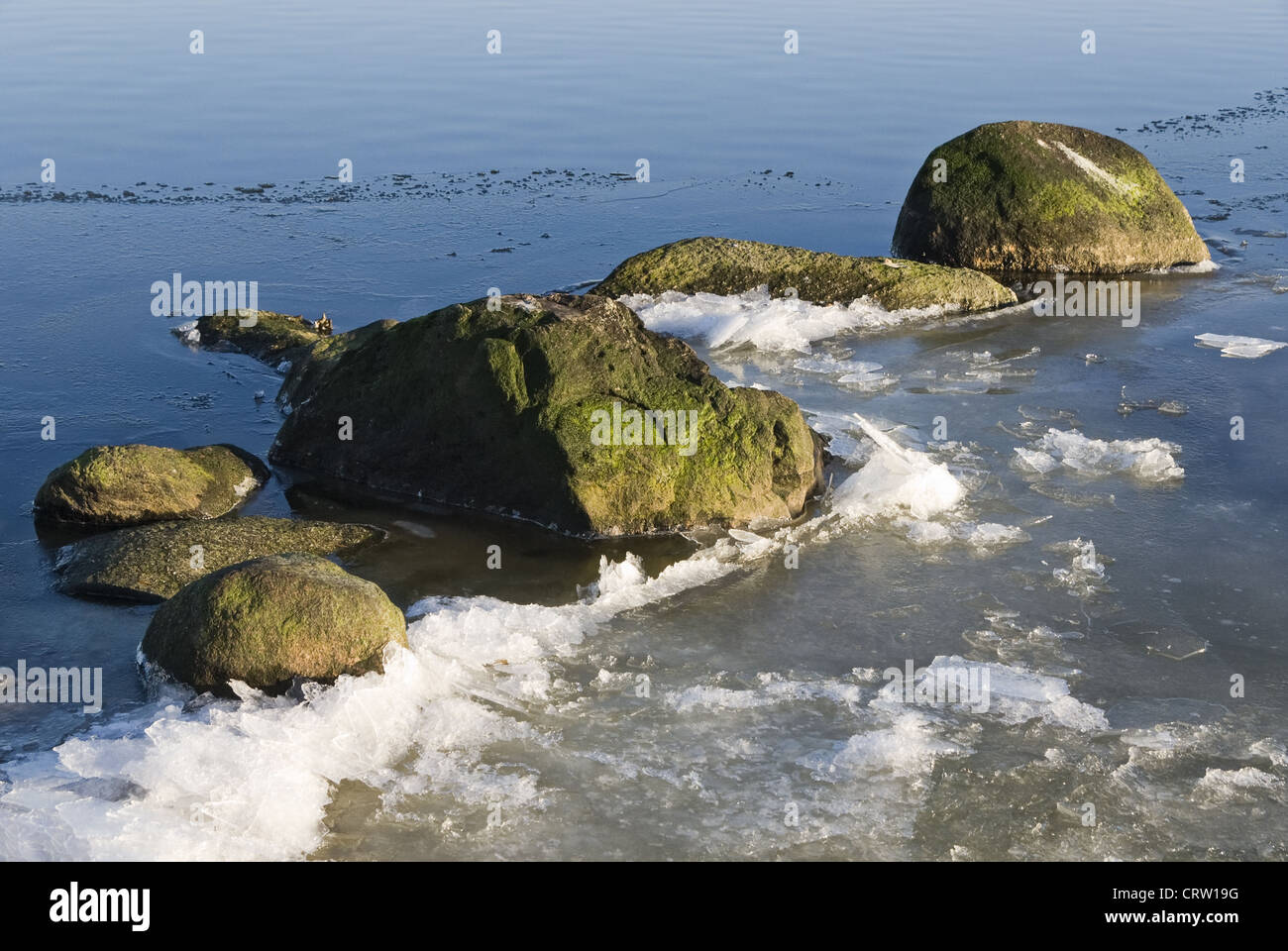 Massi e di ghiaccio in acqua Foto Stock