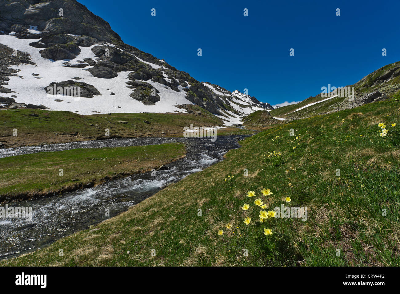 Un torrente di montagna passando per il lago di Bellacomba, Valle d'Aosta, Italia Foto Stock