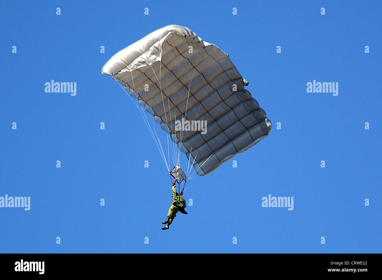 JGSDF paracadute (MC-4) Foto Stock