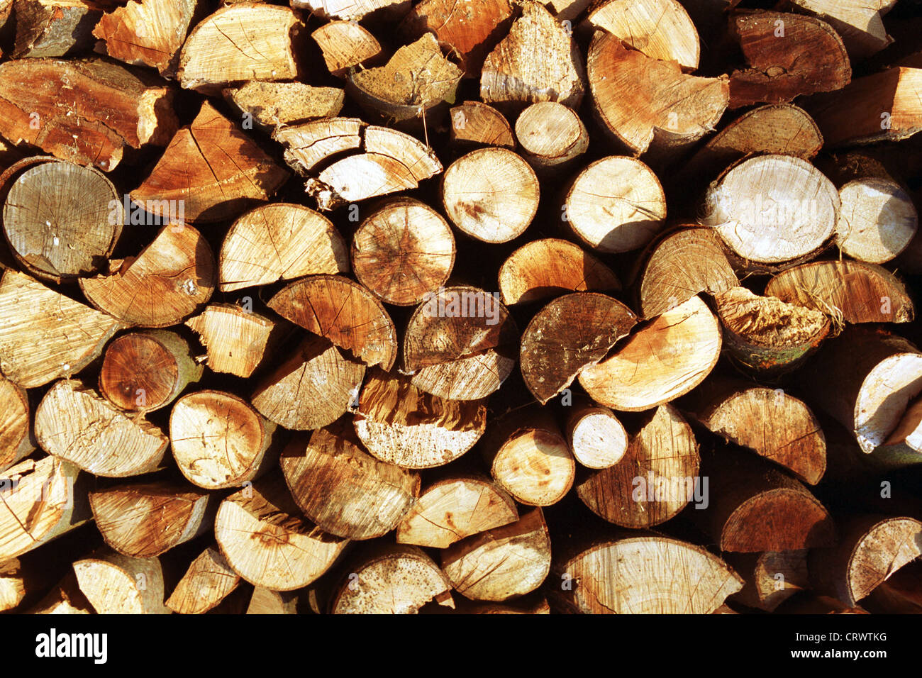 Foto rappresentativa della legna da ardere Foto Stock