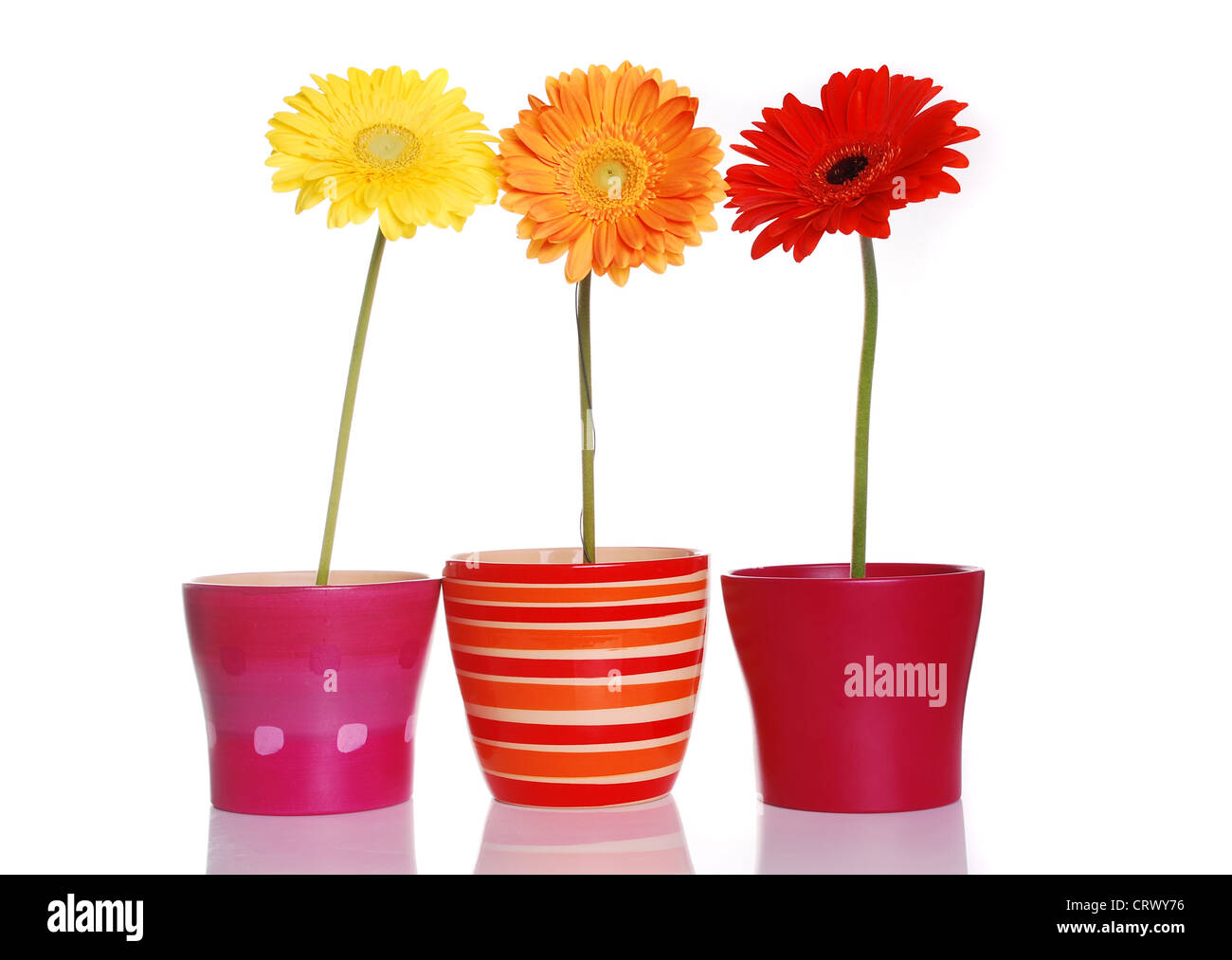 Molla di coloratissimi fiori in contenitori in ceramica Foto Stock