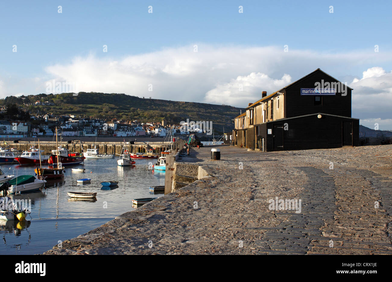 Edifici storici sul molo di Victoria al crepuscolo. Il Cobb. LYME REGIS. DORSET UK. Foto Stock