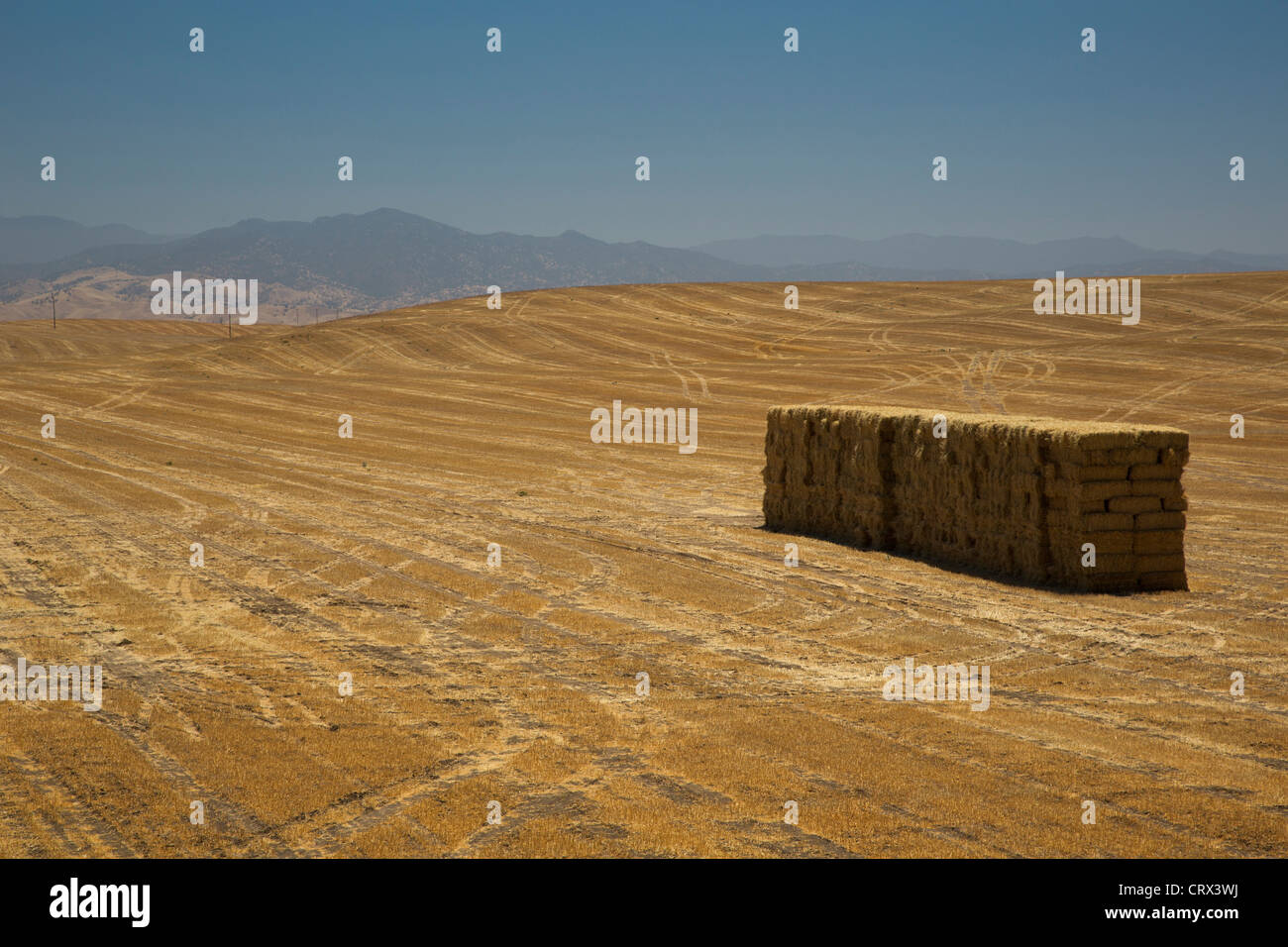 Richgrove, California - Hay impilati in un campo nella valle di San Joaquin. Foto Stock