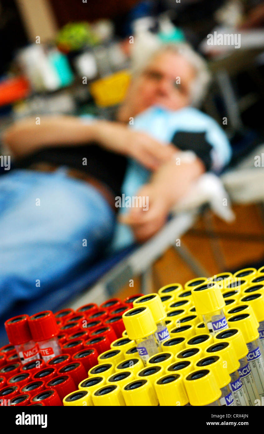 Un rack dei campioni di sangue in Vacutainer provette. Foto Stock