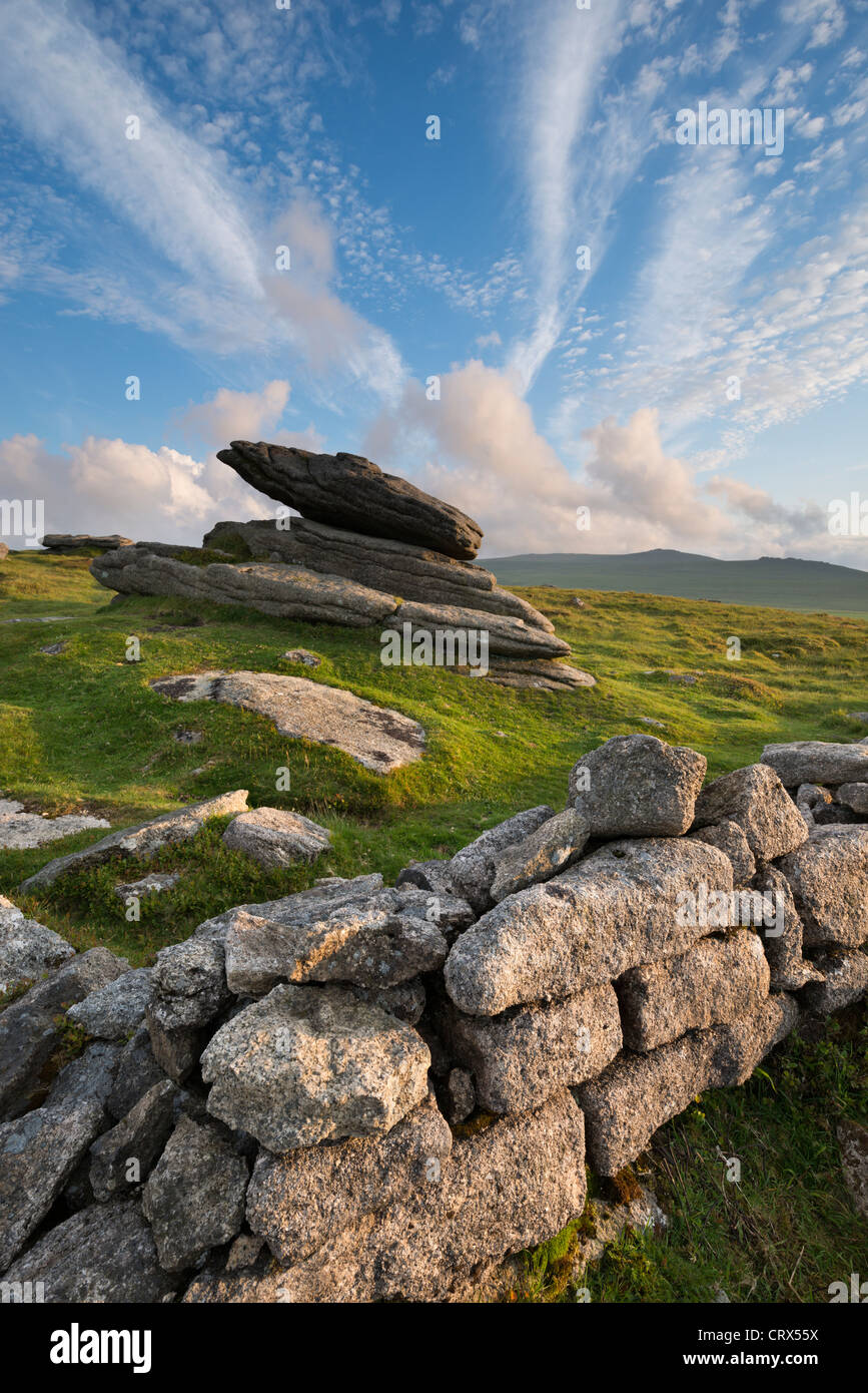 Estate a irlandese la parete sulla cresta Belstone, Dartmoor Devon, Inghilterra. Per il periodo estivo (Giugno 2012). Foto Stock