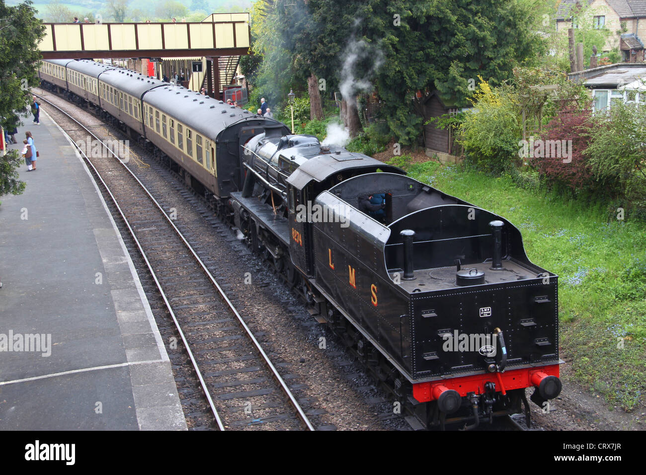 Treno a vapore con motore n. 8274 in attesa di passeggeri per un giro sul Gloucestershire & Warwickshire Steam Railway. Foto Stock