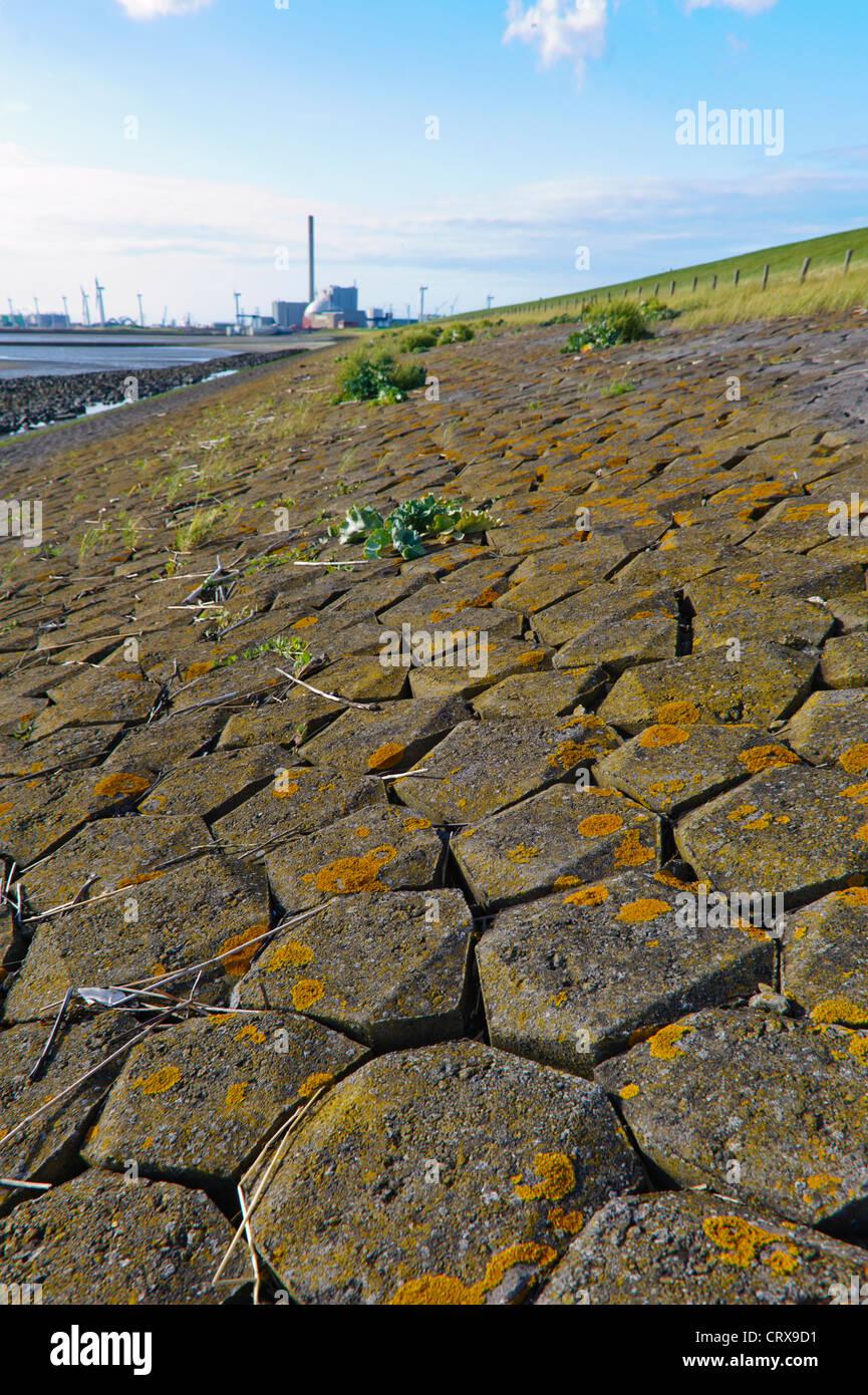 Vista lungo la diga, con la bassa marea, per la centrale nucleare di Borssele, Zeeland, Paesi Bassi Foto Stock