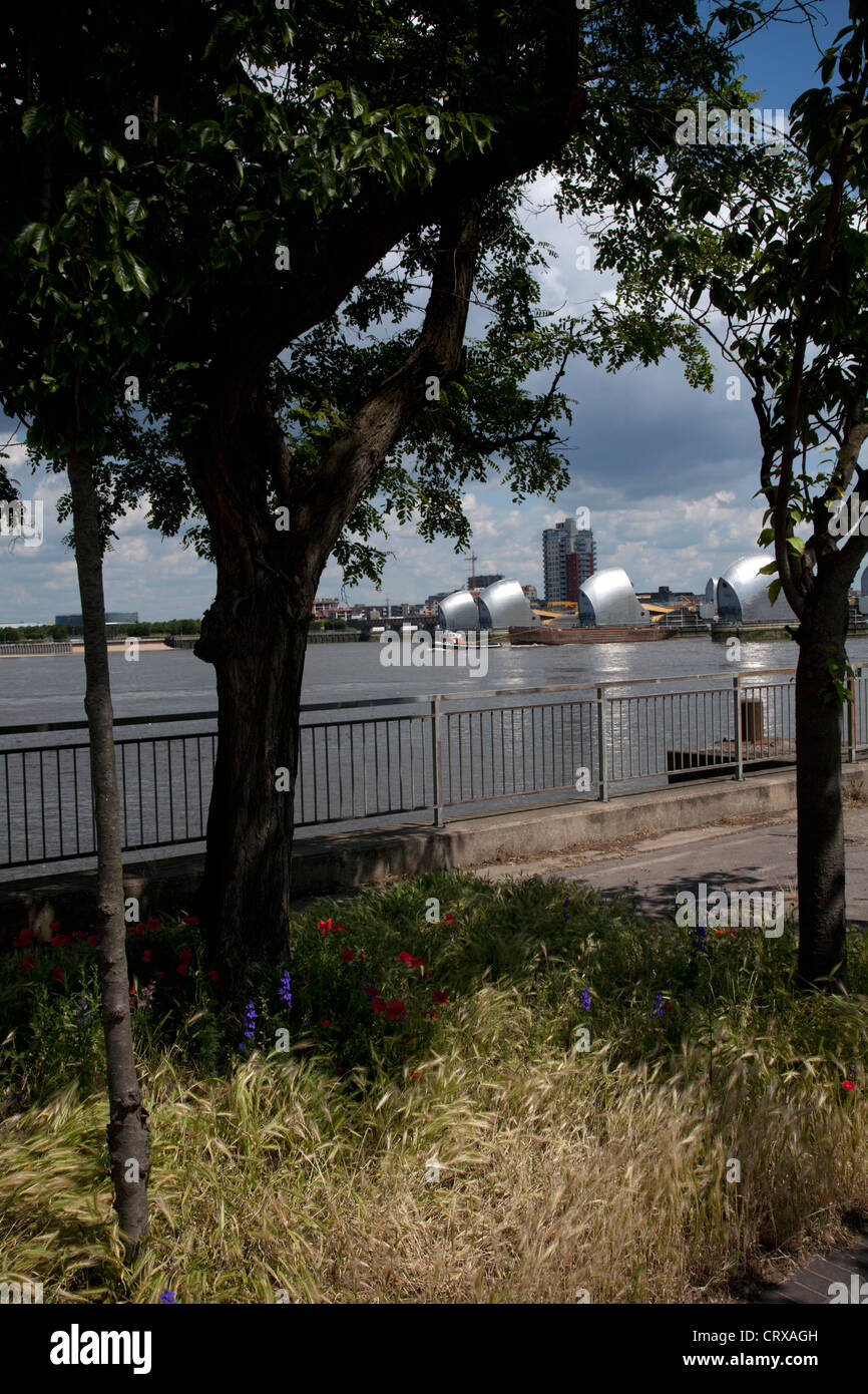 Thames Barrier Thames di Fiume charlton London Inghilterra England Foto Stock