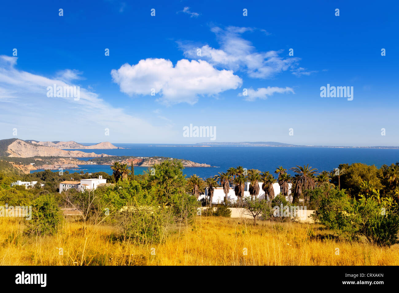 Ibiza campo oro alta vista con l'isola di Formentera in background Foto Stock