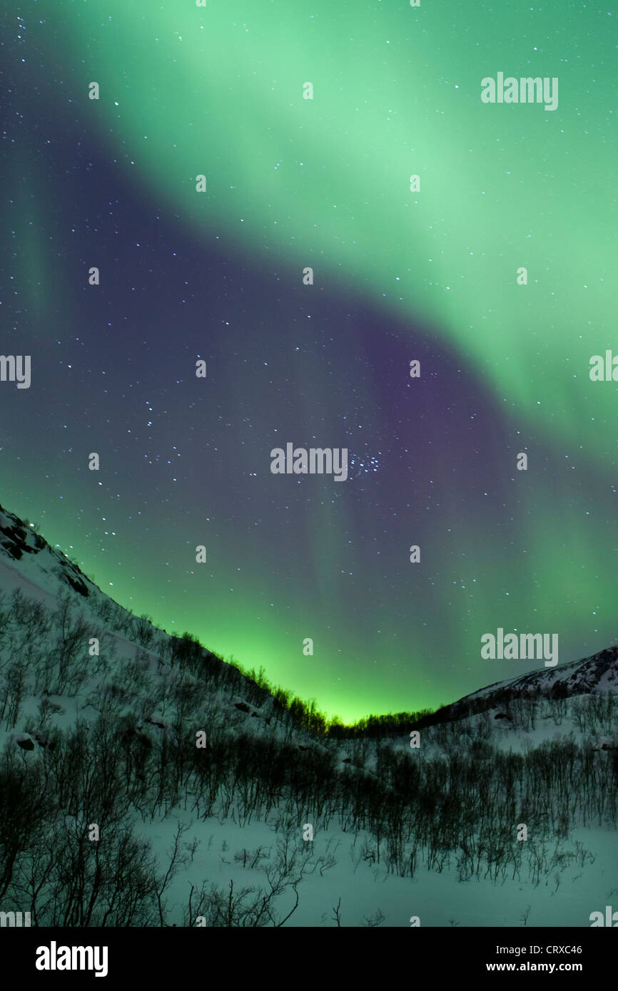 Aurora Boreale la Northern Lights riempire il cielo a Kvaloya nel Circolo Polare Artico vicino a Tromso, Norvegia settentrionale Foto Stock