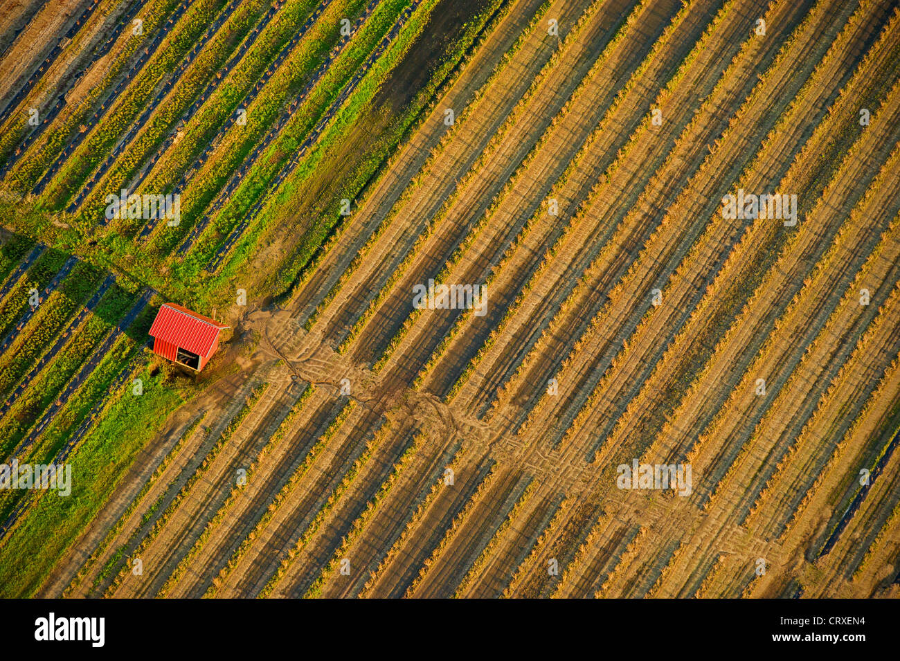 Vista aerea del campo di fattoria in primavera con la rossa pompa irrigatoria house, Michigan, Stati Uniti d'America Foto Stock