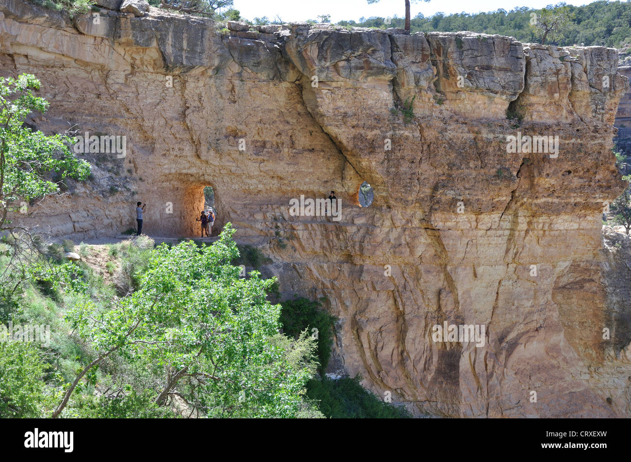 Il Grand Canyon, Arizona, Stati Uniti d'America - Angel trail Foto Stock