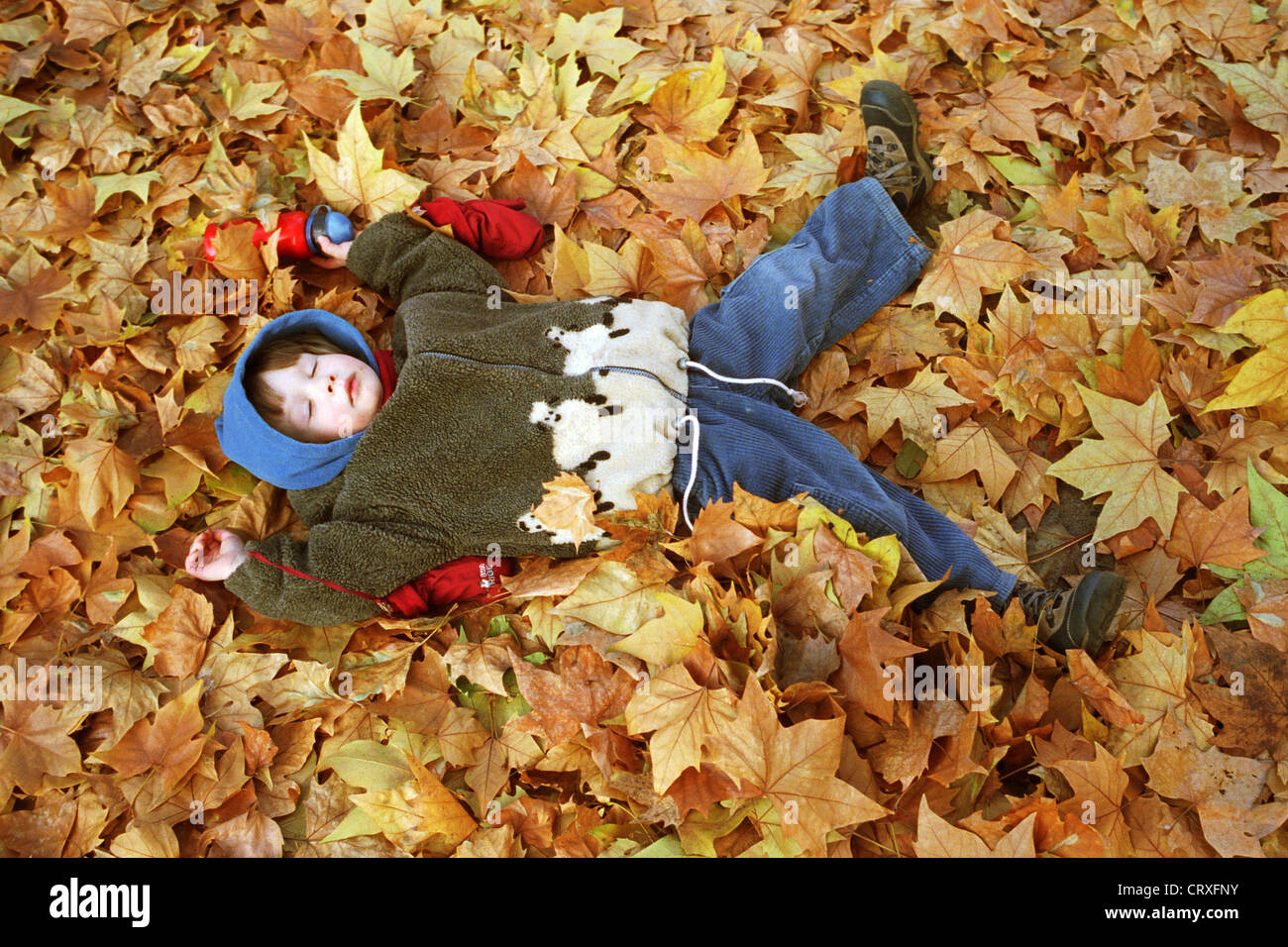 Foto rappresentativa di un bambino in foglie di autunno Foto Stock