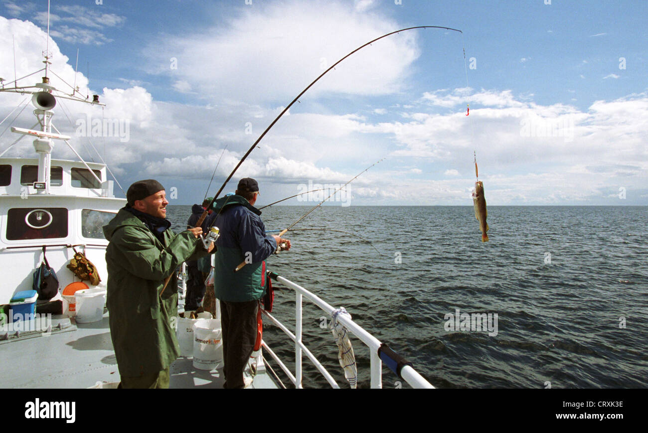 Un pescatore pescato un merluzzo bianco nel Mar Baltico Foto Stock