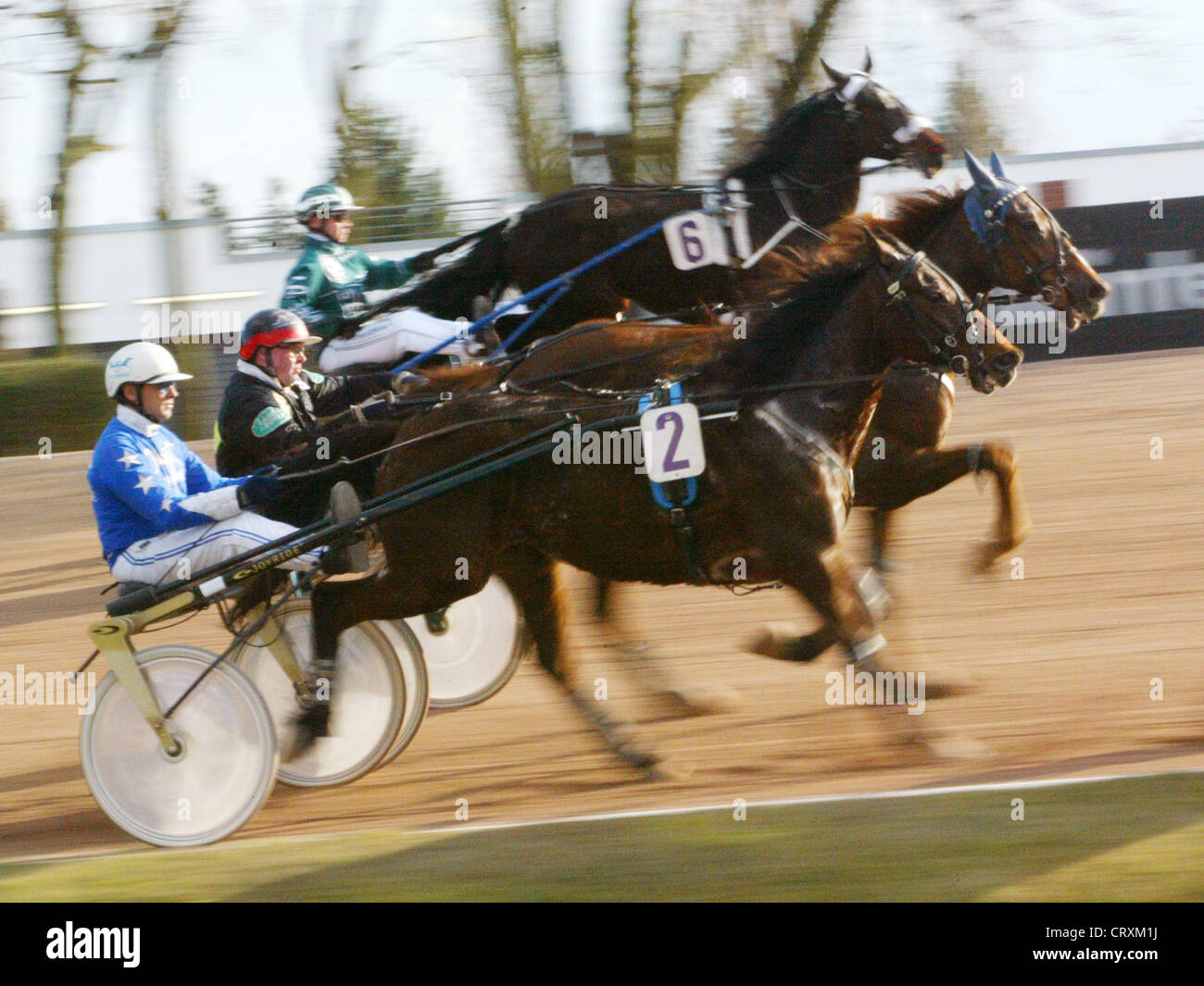 Trotter in gara al trotto Mariendorf Foto Stock