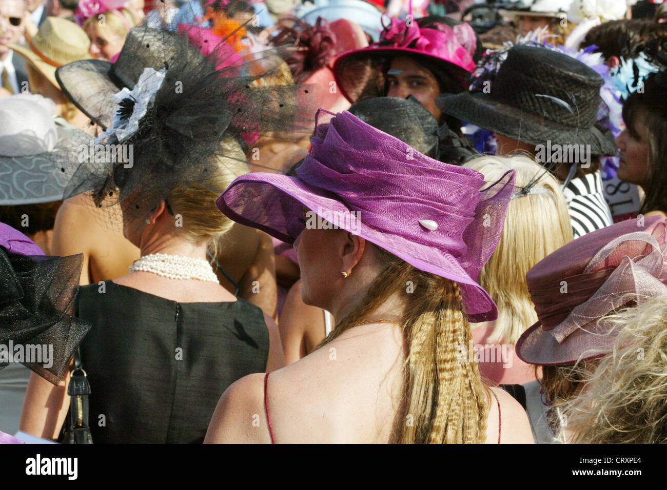 Gli spettatori con cappelli sul Nad Al Sheba Racecourse a Dubai Foto Stock
